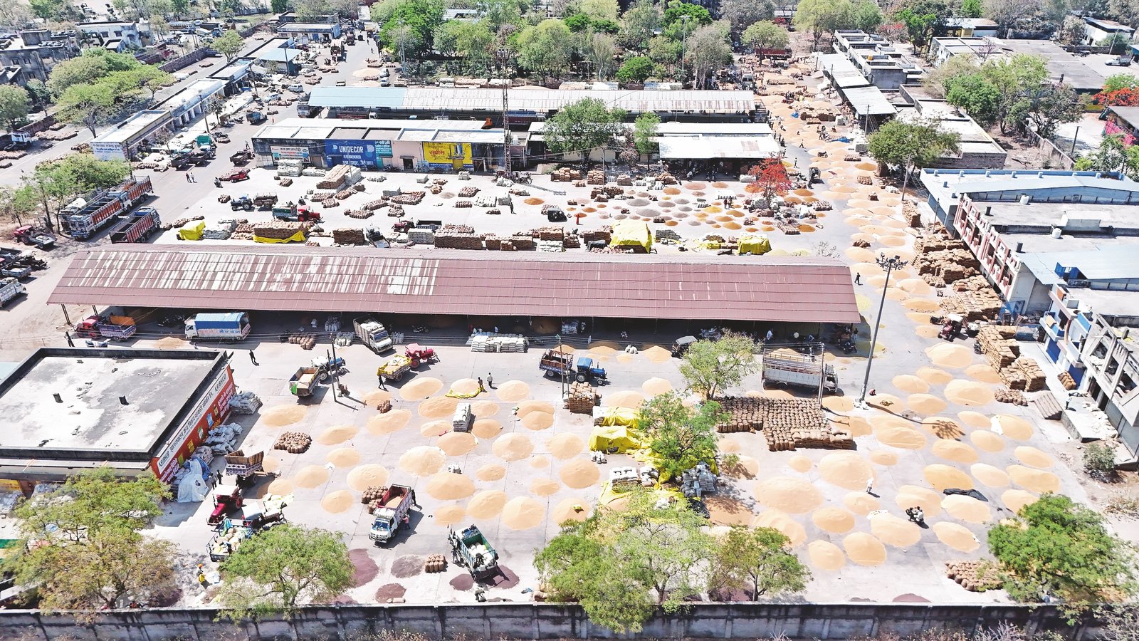 झालरापाटन मंडी में गेहूं की जोरदार आवक, 20 हजार कट्‌टे पहुंचे